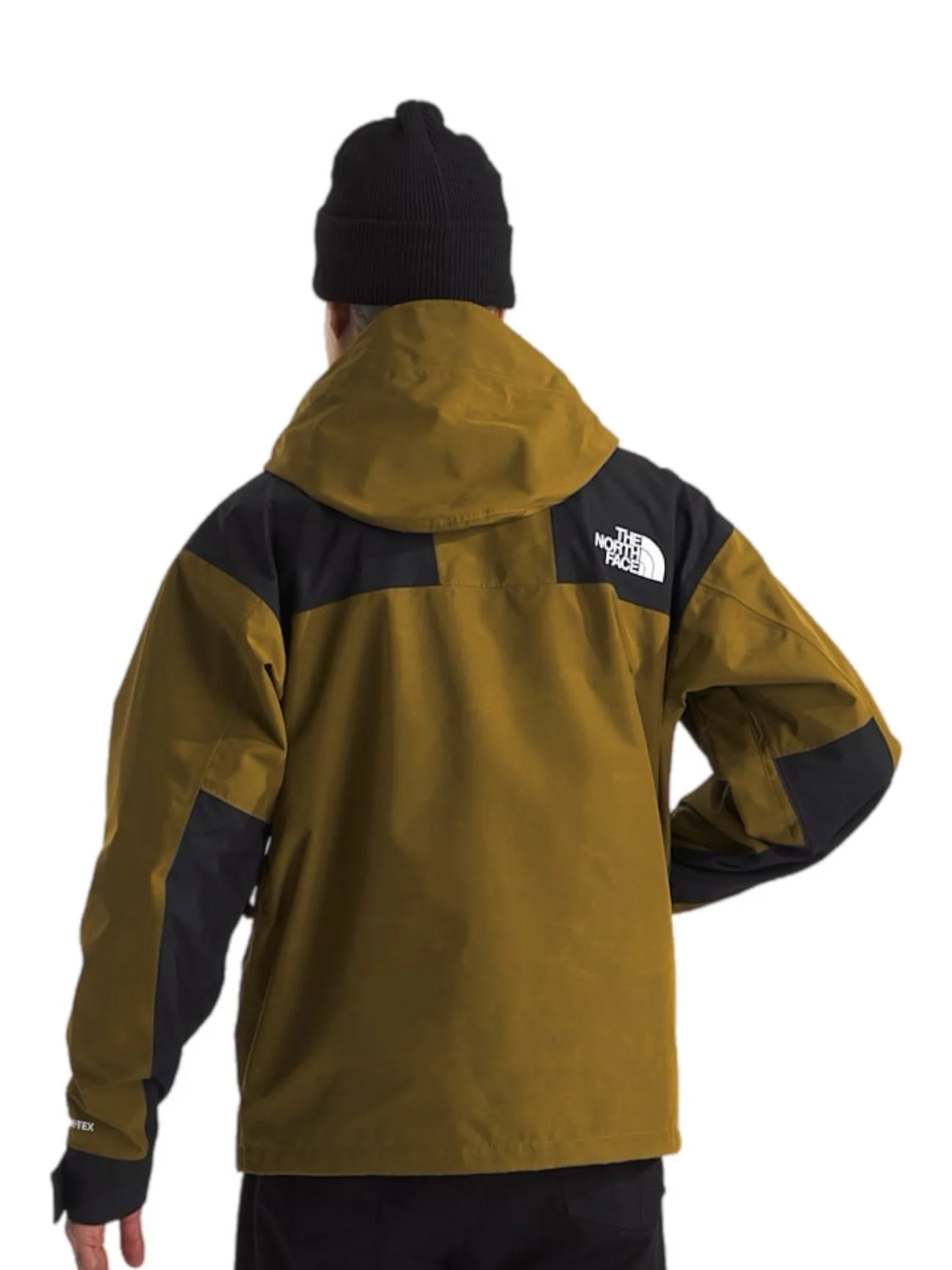 The North Face Men's Gtx Mountain Jacket